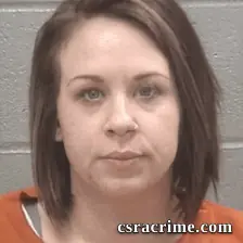Brittany Elizabeth Johnson booking photo