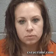 Brittany Elizabeth Johnson booking photo