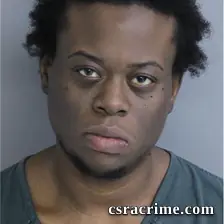 Brittany Gabriel booking photo