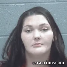 Brittany Hodges booking photo