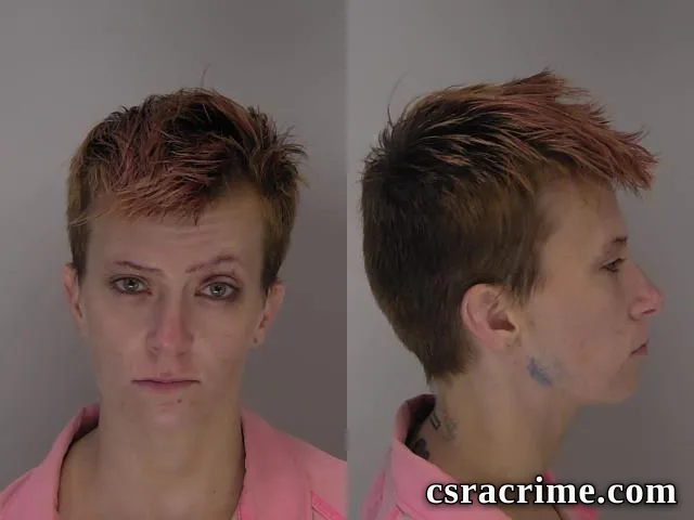 Brittany Hood booking photo