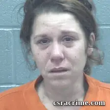 Brittany Jenkins booking photo