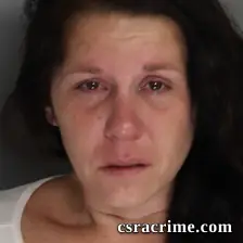 Brittany Jenkins booking photo