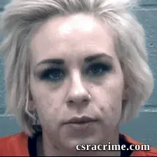 Brittany Johnson booking photo