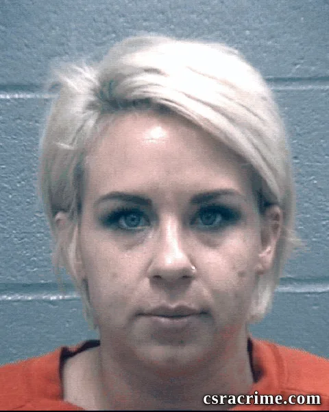 Brittany Johnson booking photo