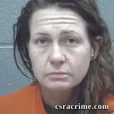 Brittany Johnson booking photo