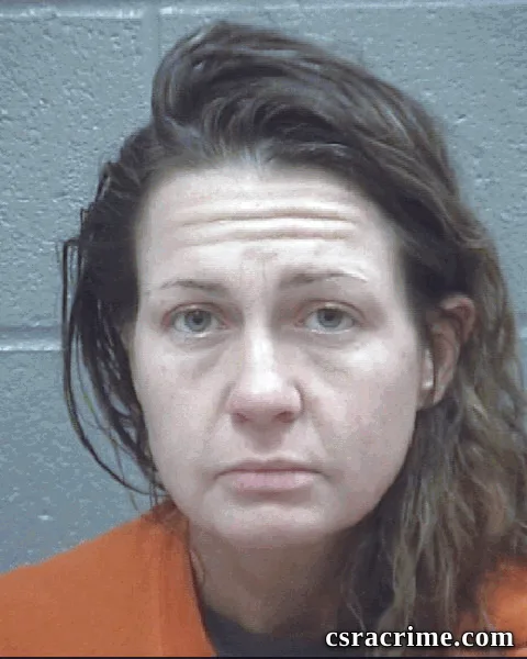 Brittany Johnson booking photo