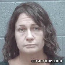 Brittany Johnson booking photo