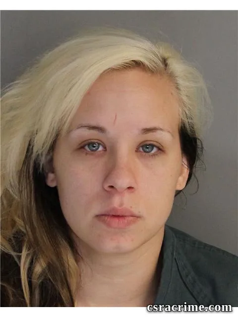 Brittany Johnson booking photo