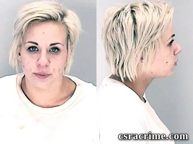 Brittany Johnson booking photo