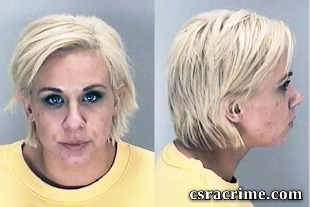 Brittany Johnson booking photo