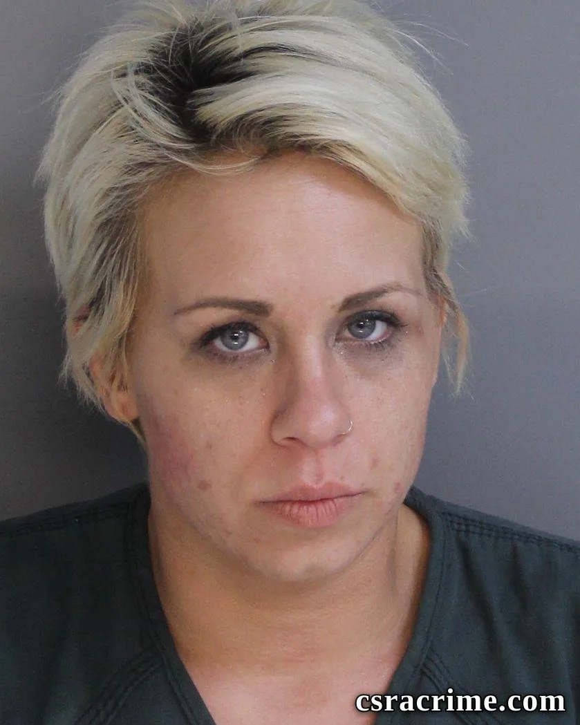 Brittany Johnson booking photo