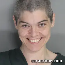 Brittany Lamer booking photo