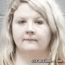 Brittany Mcelroy booking photo
