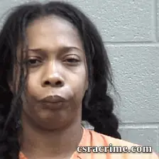 Brittany Norman booking photo