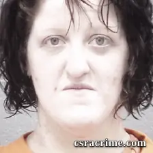 Brittany Parrish booking photo