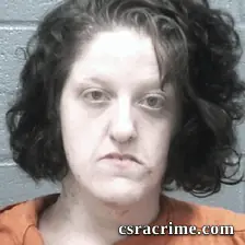 Brittany Parrish booking photo