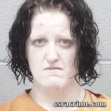 Brittany Parrish booking photo