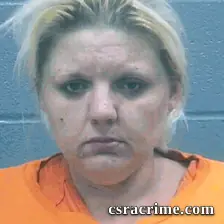 Brittany Turner booking photo