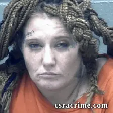 Brittnee Miller booking photo