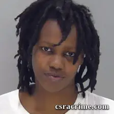 Brittney Turner booking photo