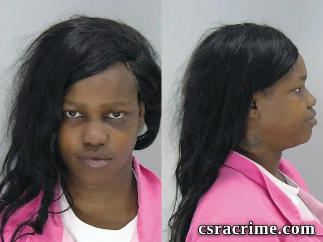 Brittney Turner booking photo