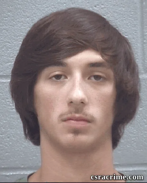 Brock Logan booking photo