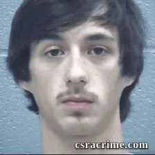 Brock Logan booking photo