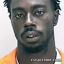 Bruce Whitehead JR booking photo