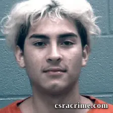 Bryan Mendoza booking photo