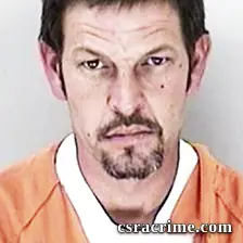 Bryan Reese booking photo