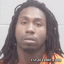 Bryan Whitehead booking photo
