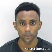 Bryce Hamilton booking photo