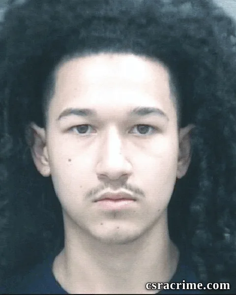 Bryce Vallee booking photo