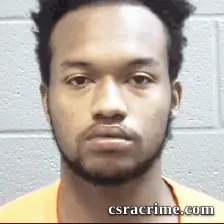 Bryce Wilson booking photo