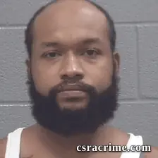 Bryce Wilson booking photo