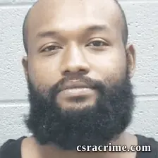 Bryce Wilson booking photo