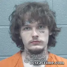 Bryson Brown booking photo
