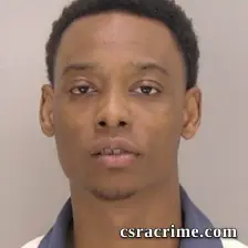 Bryson Marcell Burns booking photo