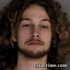 Bryson Reese booking photo