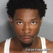 Bryson Wigfall booking photo