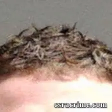 Caleb Evan Gardner Wilson booking photo