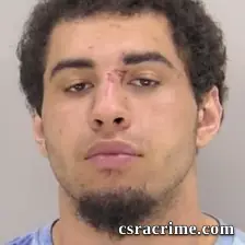 Caleb Leeollie Johnson booking photo