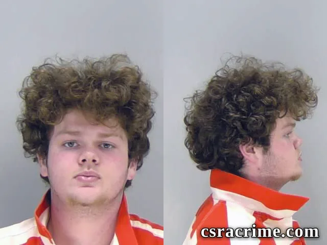 Caleb Wilson booking photo