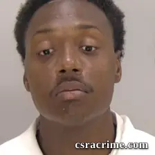 Calvin Jr, Davis JR booking photo