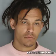 Calvin Swanson booking photo