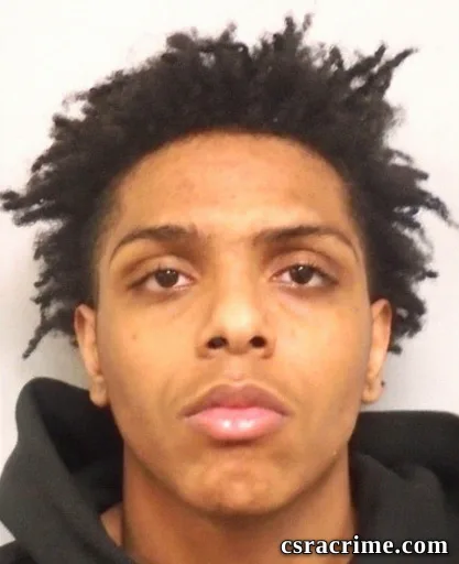 Cameron Amari Wilson booking photo