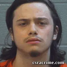 Cameron Johnson booking photo