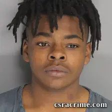 Cameron Lott booking photo