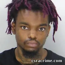 Cameron Mckinney booking photo